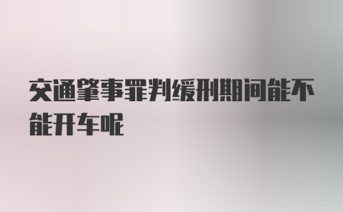 交通肇事罪判缓刑期间能不能开车呢