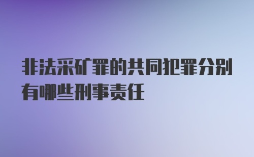 非法采矿罪的共同犯罪分别有哪些刑事责任