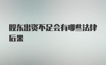 股东出资不足会有哪些法律后果