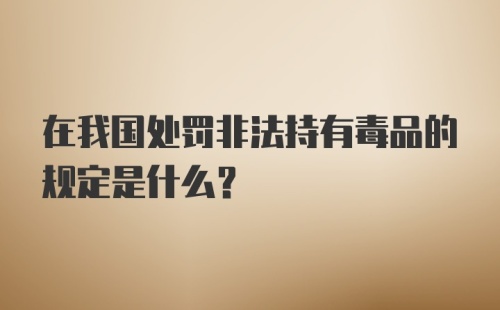 在我国处罚非法持有毒品的规定是什么？