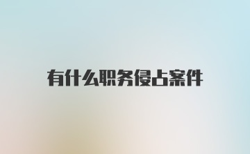 有什么职务侵占案件