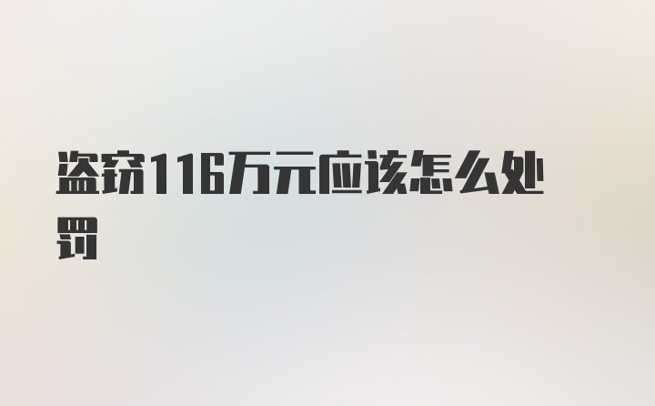 盗窃116万元应该怎么处罚