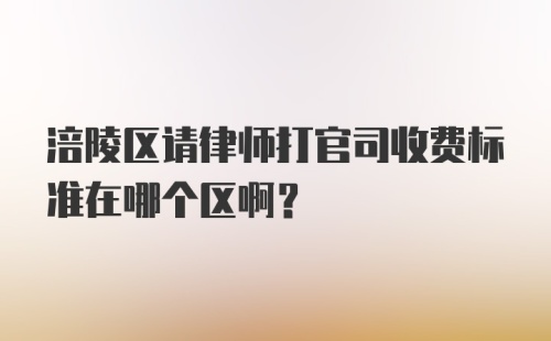 涪陵区请律师打官司收费标准在哪个区啊？