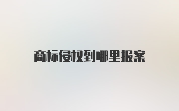 商标侵权到哪里报案