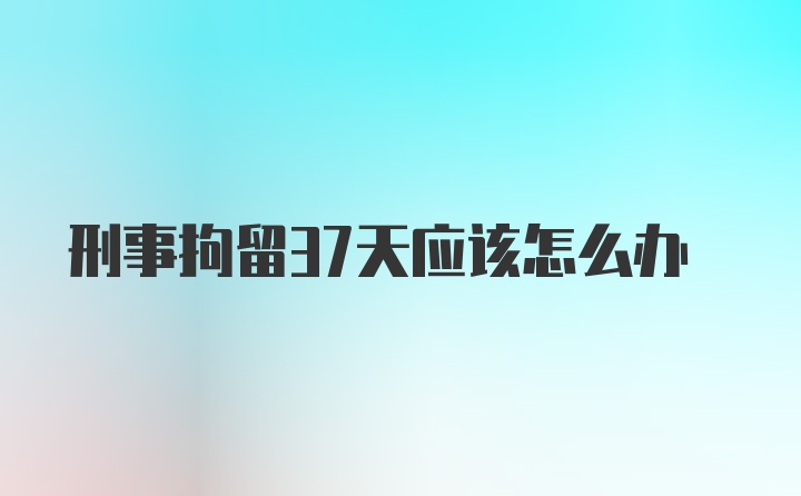 刑事拘留37天应该怎么办