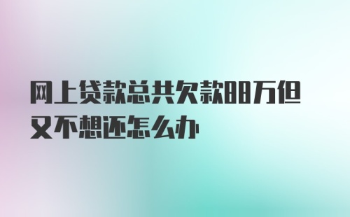 网上贷款总共欠款88万但又不想还怎么办