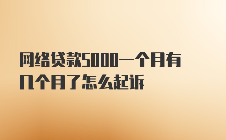 网络贷款5000一个月有几个月了怎么起诉