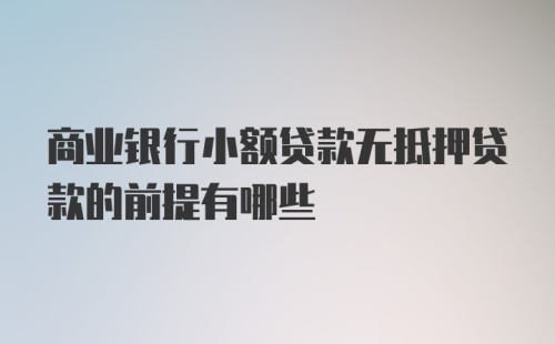 商业银行小额贷款无抵押贷款的前提有哪些