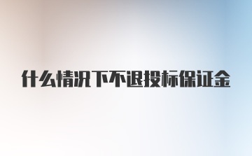 什么情况下不退投标保证金