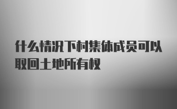 什么情况下村集体成员可以取回土地所有权