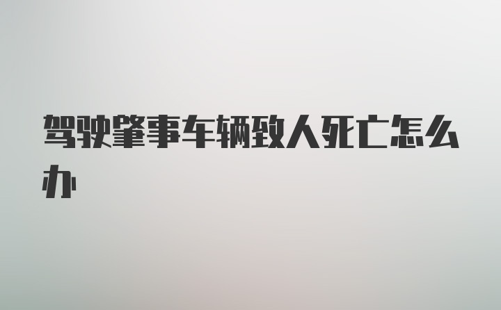 驾驶肇事车辆致人死亡怎么办