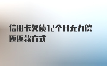 信用卡欠债12个月无力偿还还款方式