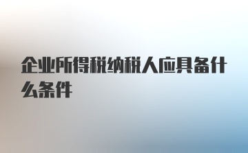 企业所得税纳税人应具备什么条件