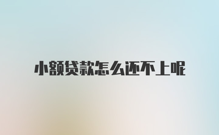 小额贷款怎么还不上呢