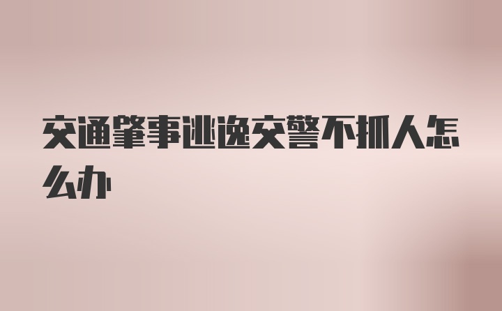 交通肇事逃逸交警不抓人怎么办