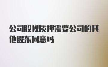 公司股权质押需要公司的其他股东同意吗