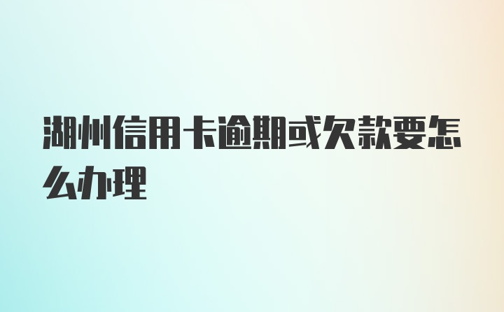 湖州信用卡逾期或欠款要怎么办理