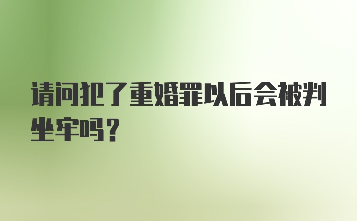 请问犯了重婚罪以后会被判坐牢吗？