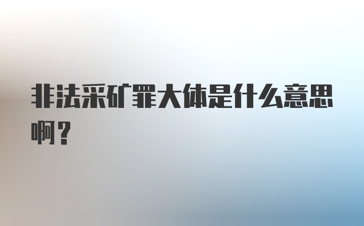 非法采矿罪大体是什么意思啊？