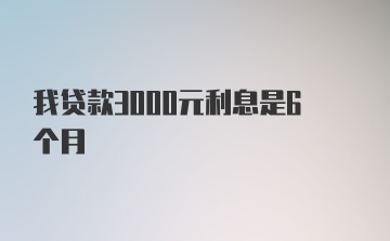 我贷款3000元利息是6个月