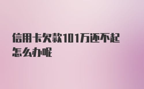 信用卡欠款101万还不起怎么办呢