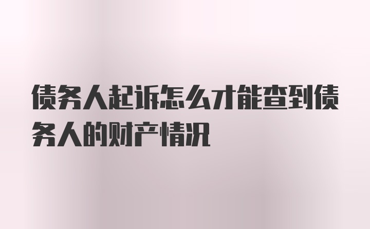 债务人起诉怎么才能查到债务人的财产情况