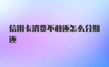 信用卡消费不敢还怎么分期还