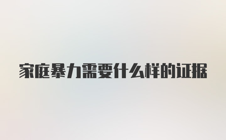 家庭暴力需要什么样的证据