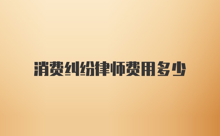 消费纠纷律师费用多少