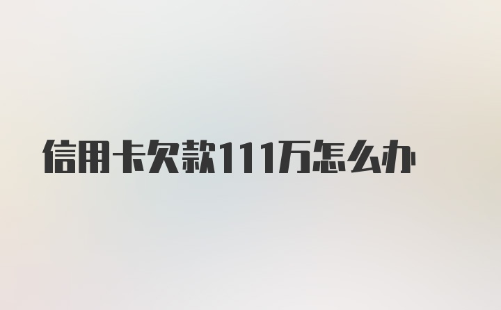 信用卡欠款111万怎么办