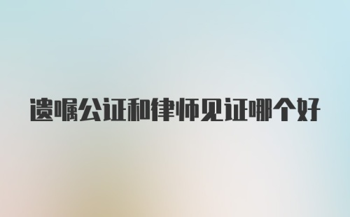 遗嘱公证和律师见证哪个好