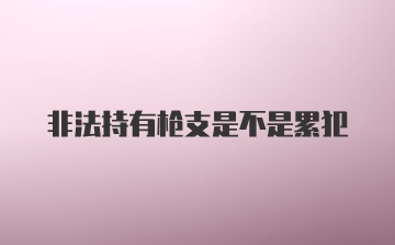 非法持有枪支是不是累犯