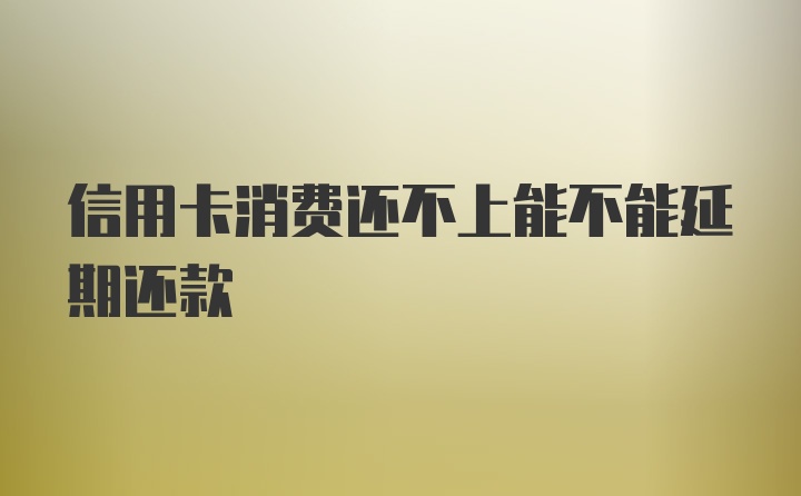 信用卡消费还不上能不能延期还款