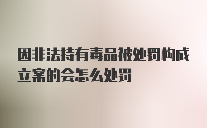 因非法持有毒品被处罚构成立案的会怎么处罚