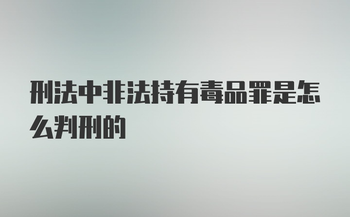 刑法中非法持有毒品罪是怎么判刑的