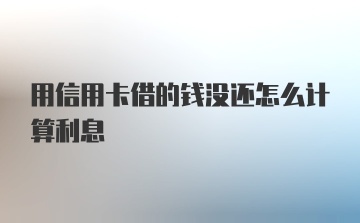 用信用卡借的钱没还怎么计算利息