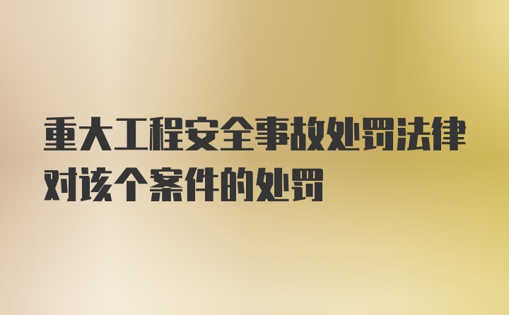 重大工程安全事故处罚法律对该个案件的处罚