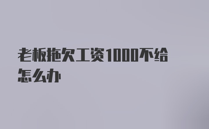 老板拖欠工资1000不给怎么办