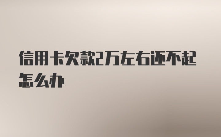 信用卡欠款2万左右还不起怎么办