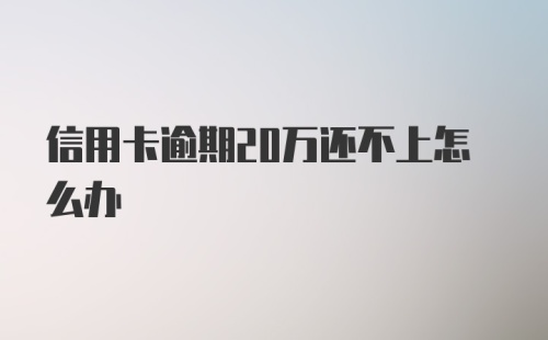 信用卡逾期20万还不上怎么办