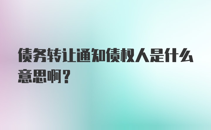 债务转让通知债权人是什么意思啊？