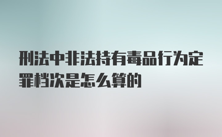 刑法中非法持有毒品行为定罪档次是怎么算的