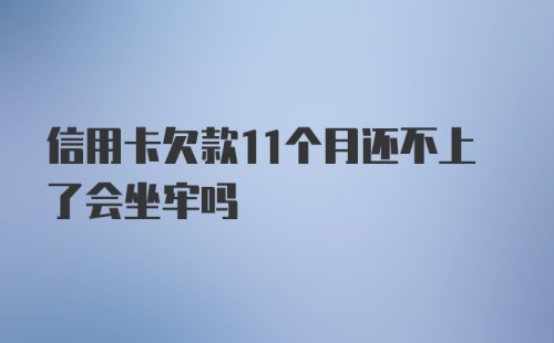 信用卡欠款11个月还不上了会坐牢吗