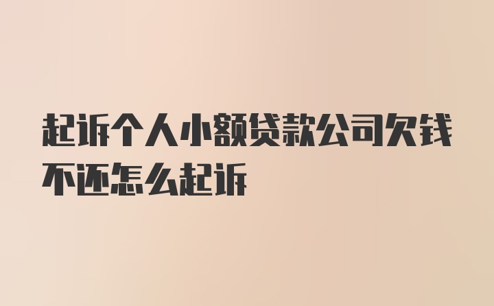 起诉个人小额贷款公司欠钱不还怎么起诉