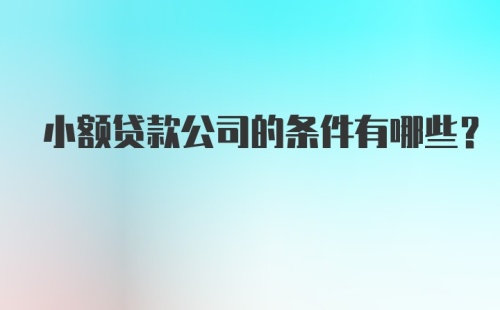 小额贷款公司的条件有哪些？