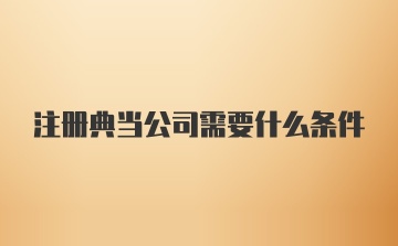 注册典当公司需要什么条件