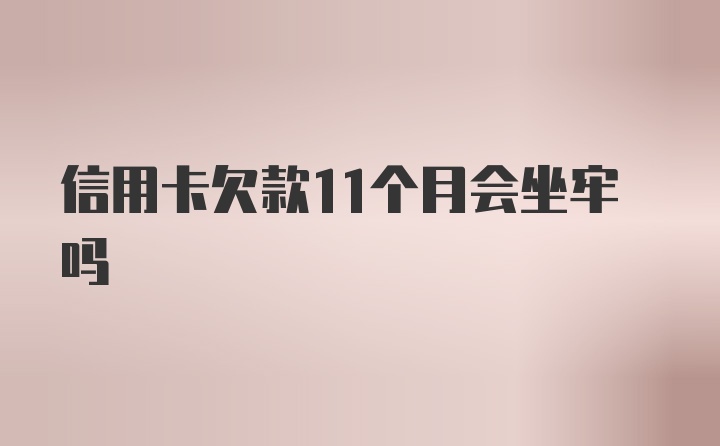 信用卡欠款11个月会坐牢吗