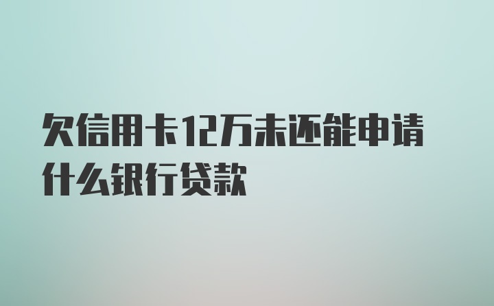 欠信用卡12万未还能申请什么银行贷款