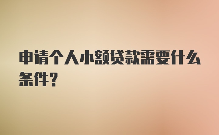 申请个人小额贷款需要什么条件？