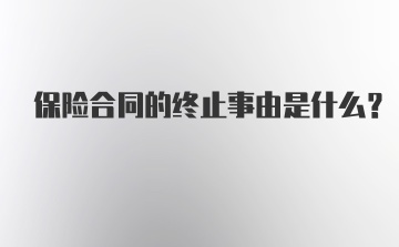 保险合同的终止事由是什么？